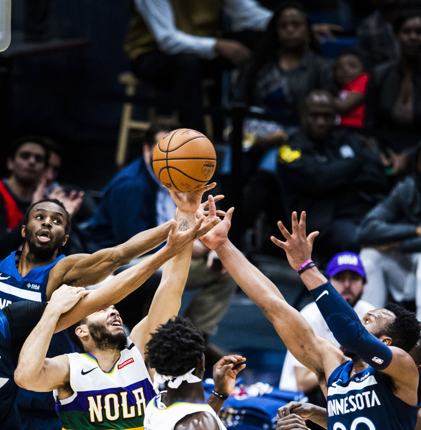 NO.pelicanwolves.020819.15.JPG